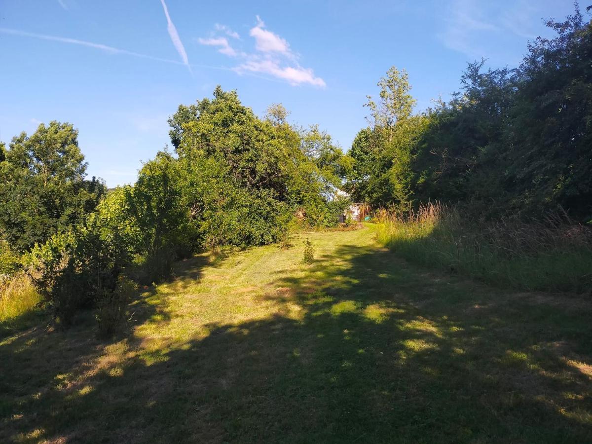 Tiny Messancy, Une Immersion Dans La Nature ! Ngoại thất bức ảnh