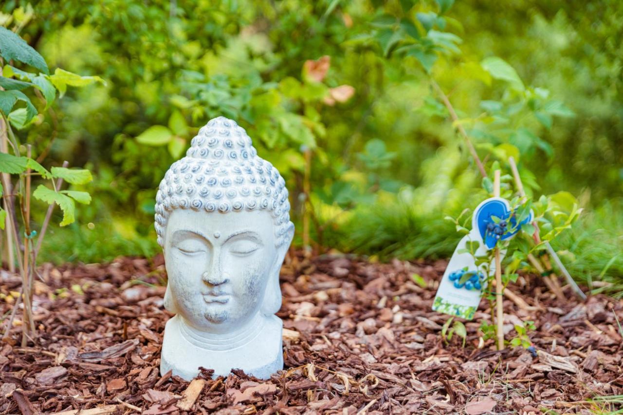 Tiny Messancy, Une Immersion Dans La Nature ! Ngoại thất bức ảnh